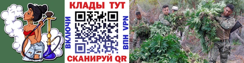 Где купить наркоту Велиж КОКАИН  Alpha-PVP  Галлюциногенные грибы  Гашиш  Конопля  Амфетамин 