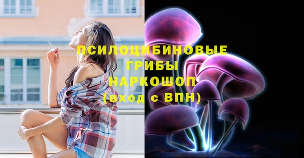 прущие грибы Богородск