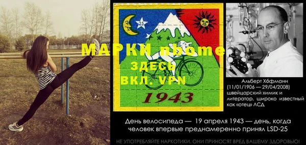 ГАЛЛЮЦИНОГЕННЫЕ ГРИБЫ Белокуриха