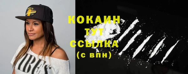прущие грибы Богородск