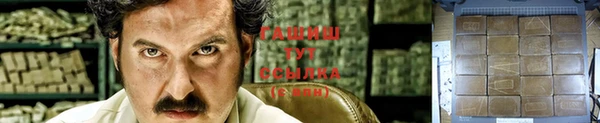 хмурый Богородицк