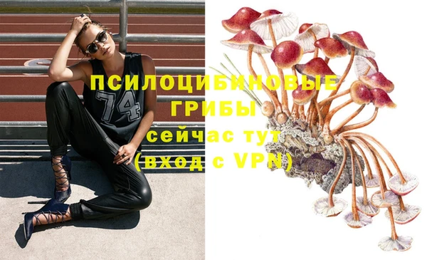 ГАЛЛЮЦИНОГЕННЫЕ ГРИБЫ Белокуриха